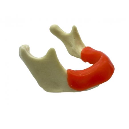Model practica implantologie cu mandibula