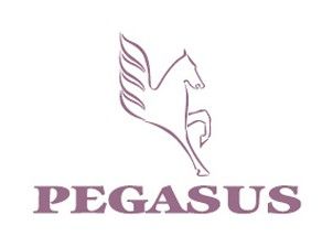 Pegasus Dental